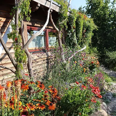 Idyllisches Blockhaus Mecklenburger Seenplatte